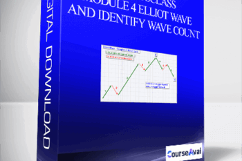 CryptosClass – Module 4 Elliot Wave and Identify Wave Count
