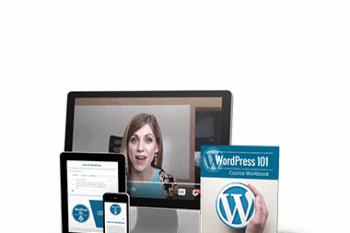 Crystal Paine - WordPress 101