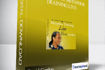 David Gordon – Therapeutic Metaphor Training LIVE