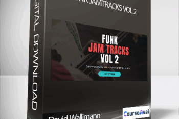 David Wallimann - FUNK JAMTRACKS VOL.2