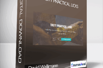 David Wallimann - TASTY PRACTICAL LICKS