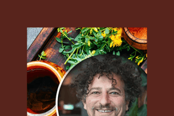 David Wolfe - Essentials Of Hormone Balance
