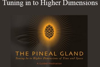 Dr. Joe Dispenza - The Pineal Gland - Tuning in to Higher Dimensions