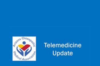 Elizabeth Krupinski - Telemedicine Update