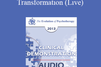 EP13 Clinical Demonstration 07 - Generative Trance and Transformation (Live) - Stephen Gilligan