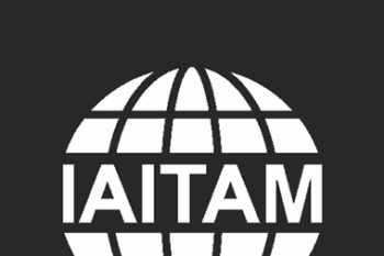 IAMTAM - Asset Identification