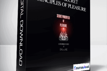 IN10SE - Secret Principles Of Pleasure