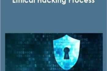 Infosec - Ethical Hacking Process