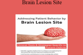 Jerome Quellier - Addressing Patient Behavior by Brain Lesion Site: Clinical Tools & Strategies Specific to Patient Deficits