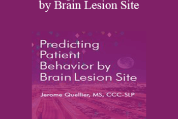 Jerome Quellier - Predicting Patient Behavior by Brain Lesion Site