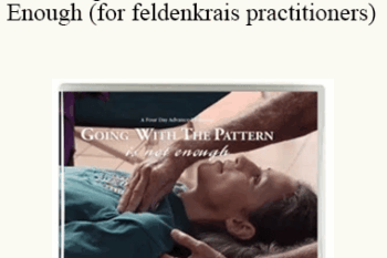 Jerry Karzen - Going With the Pattern Is Not Enough (for feldenkrais practitioners)