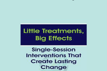 Jessica Schleider - Little Treatments