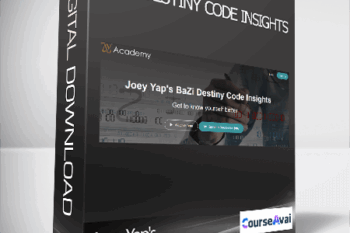 Joey Yap's - BaZi Destiny Code Insights