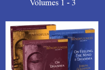 Joseph Goldstein - Abiding in Mindfulness Volumes 1 - 3
