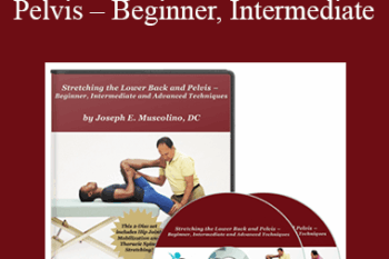 Joseph Muscolino - Stretching the Lower Back and Pelvis – Beginner
