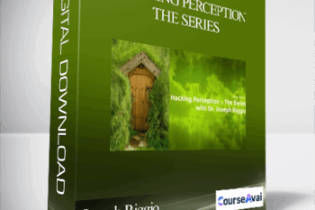 Joseph Riggio - Hacking Perception - The Series
