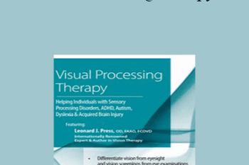 Leonard Press - Visual Processing Therapy: Helping Individuals with Sensory Processing Disorders