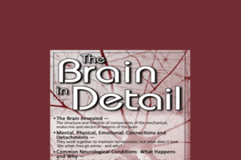 Mary T. Johnson - The Brain in Detail