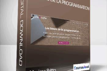 Maxime Britto - Les bases de la programmation