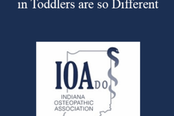 Michelle J. Curtin - Why Behavior Concerns in Toddlers are so Different