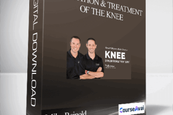 Mike Reinold - Evaluation and Treatment of the Knee