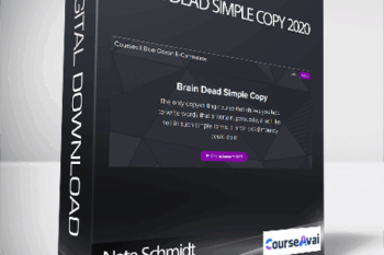 Nate Schmidt - Brain Dead Simple Copy 2020