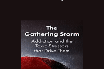 Patrick Carnes - The Gathering Storm: Addiction and the Toxic Stressors that Drive Them