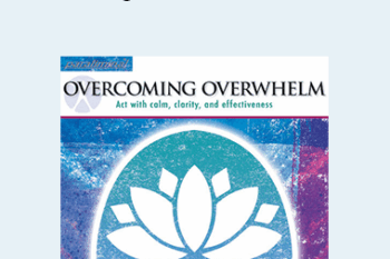 Paul Scheele - Overcoming Overwhelm Paraliminal