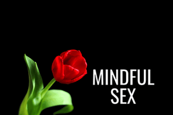 Pleasure Mechanics - Mindful Sex