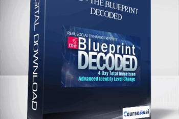 RSD - The Blueprint Decoded