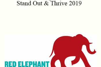 Redelephantu - Stand Out & Thrive 2019 - Mack Burnett