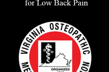 Robert J. Mendez - Therapeutic Procedures for Low Back Pain