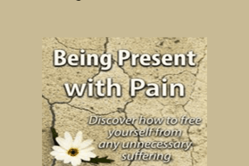 Ronald D. Siegel - Being Present with Pain