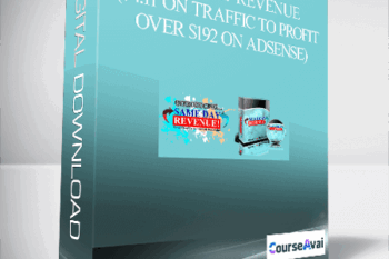 Same Day Revenue ($4.11 On Traffic to Profit Over $192 on Adsense)