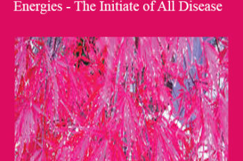 Sara Allen - Shock & Irregular Energies - The Initiate of All Disease