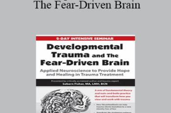 Sebern Fisher - Developmental Trauma and The Fear-Driven Brain: Applied Neuroscience to Provide Hope and Healing in Trauma Treatment