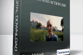 Shane Melaugh - Focus and Action 2019