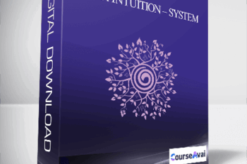 Silva Intuition - System