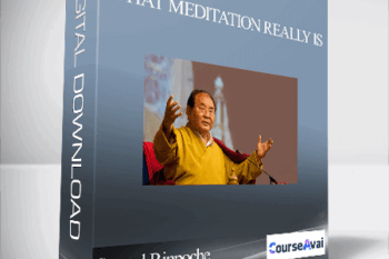 Sogyal Rinpoche - What Meditation Really Is