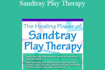 Tammi Van Hollander - The Healing Power of Sandtray Play Therapy