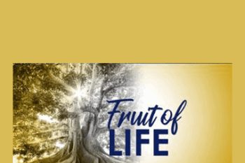 Tamra Oviatt - Fruit of Life Activation