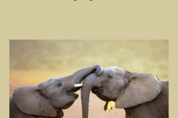 Tamra Oviatt - Helping Hand