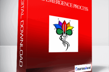 The Emergence Process
