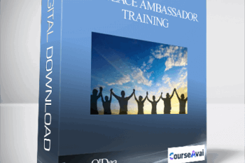 The Peace Ambassador Training with James O'Dea