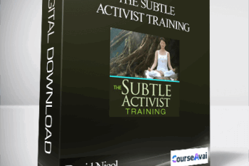 The Subtle Activist Training With David Nicol