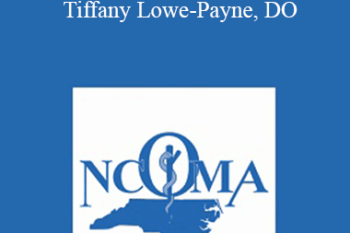 Tiffany Lowe Lowe Payne - The Social Determinants of Obesity - Tiffany Lowe-Payne