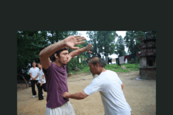 Da Gong : Big Dipper Body Protection  -  Wudang White Horse