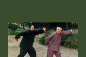 Healing Without Medicines: Daoyin Practices of Yin Style Bagua  -  Xie Pieqi