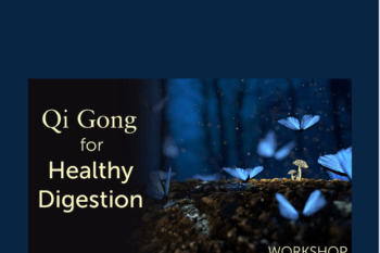 Qi Gong for Healthy Digestion - Lee Holden
