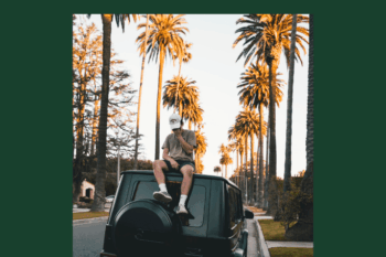 The Beginners Dropshipping Course - Soulja